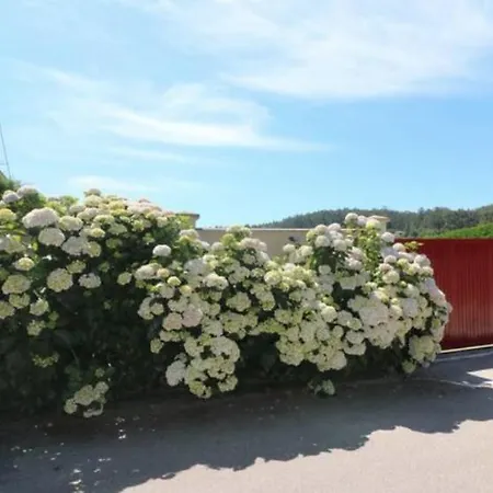 Casa Con Piscina Entorno Rural Holiday home *